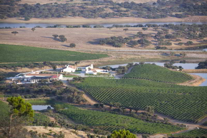 Herdade Do Sobroso Wine & Luxury Boutique Hotel Pedrogao  Ngoại thất bức ảnh